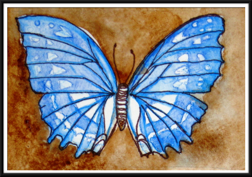 Blue Morpho
